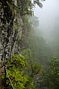 nebel auf madeira - (c) k eutebach.jpg